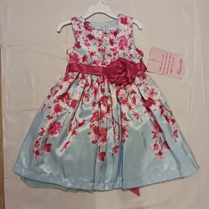 NWT Girl pink and blue flower dress